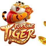 citic fortune tiger bet